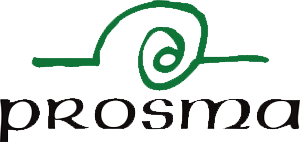 Prosma | Casas de madera mecanizadas